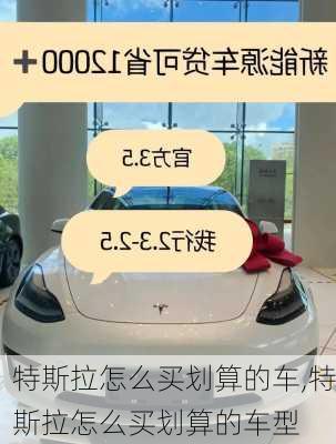 特斯拉怎么買(mǎi)劃算的車,特斯拉怎么買(mǎi)劃算的車型