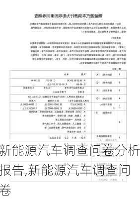 新能源汽車(chē)調(diào)查問(wèn)卷分析報(bào)告,新能源汽車(chē)調(diào)查問(wèn)卷