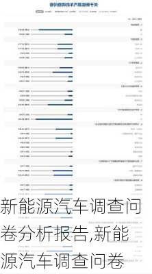 新能源汽車(chē)調(diào)查問(wèn)卷分析報(bào)告,新能源汽車(chē)調(diào)查問(wèn)卷