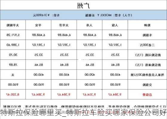 特斯拉保險哪里買_特斯拉車險買哪家保險公司好