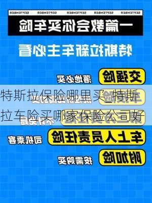 特斯拉保險哪里買_特斯拉車險買哪家保險公司好