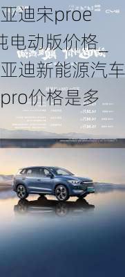 比亞迪宋proev純電動(dòng)版價(jià)格_比亞迪新能源汽車宋pro價(jià)格是多少