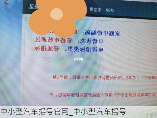 中小型汽車搖號官網_中小型汽車搖號