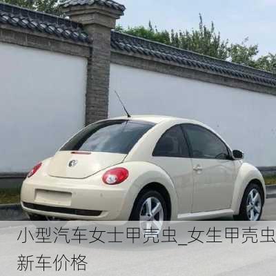 小型汽車女士甲殼蟲_女生甲殼蟲新車價格