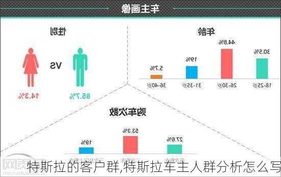 特斯拉的客戶(hù)群,特斯拉車(chē)主人群分析怎么寫(xiě)