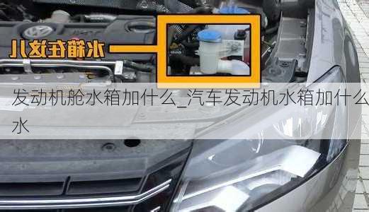 發(fā)動機艙水箱加什么_汽車發(fā)動機水箱加什么水