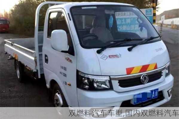 雙燃料汽車車型,國內(nèi)雙燃料汽車