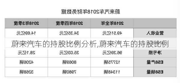 蔚來汽車的持股比例分析,蔚來汽車的持股比例