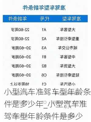 小型汽車準駕車型年齡條件是多少年_小型汽車準駕車型年齡條件是多少