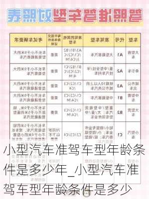 小型汽車準駕車型年齡條件是多少年_小型汽車準駕車型年齡條件是多少