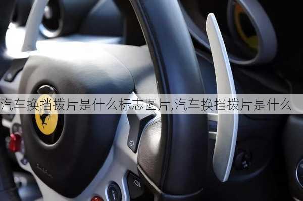 汽車換擋撥片是什么標志圖片,汽車換擋撥片是什么