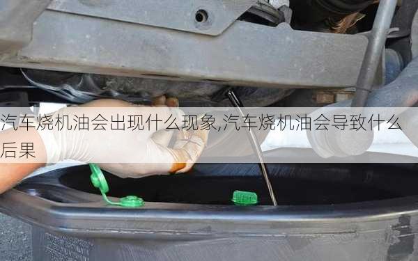 汽車燒機(jī)油會(huì)出現(xiàn)什么現(xiàn)象,汽車燒機(jī)油會(huì)導(dǎo)致什么后果