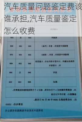 汽車質量問題鑒定費該誰承擔,汽車質量鑒定怎么收費