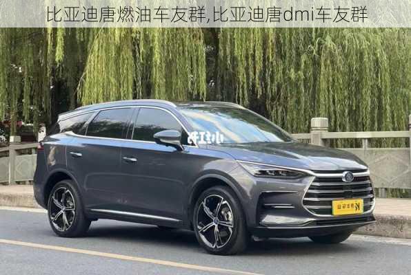 比亞迪唐燃油車友群,比亞迪唐dmi車友群