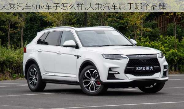 大乘汽車suv車子怎么樣,大乘汽車屬于哪個(gè)品牌