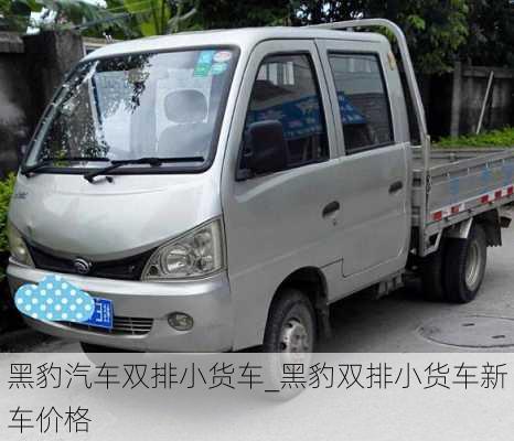 黑豹汽車雙排小貨車_黑豹雙排小貨車新車價(jià)格