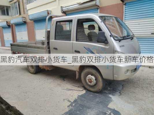 黑豹汽車雙排小貨車_黑豹雙排小貨車新車價(jià)格