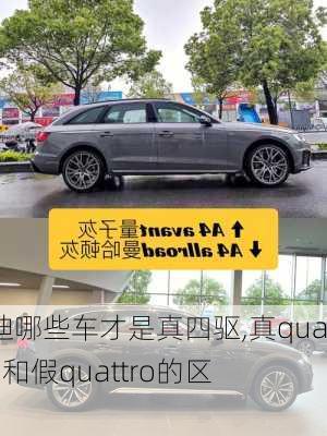 奧迪哪些車才是真四驅,真quattro和假quattro的區(qū)別