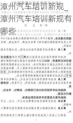 漳州汽車培訓新規(guī)_漳州汽車培訓新規(guī)有哪些