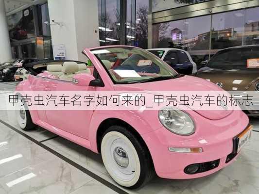 甲殼蟲汽車名字如何來的_甲殼蟲汽車的標(biāo)志