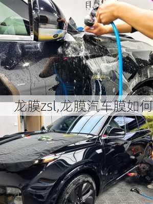 龍膜zsl,龍膜汽車膜如何