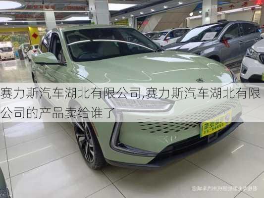 賽力斯汽車湖北有限公司,賽力斯汽車湖北有限公司的產(chǎn)品賣給誰了