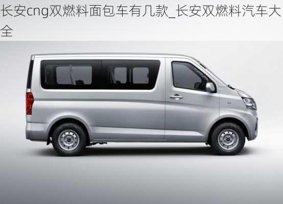 長安cng雙燃料面包車有幾款_長安雙燃料汽車大全