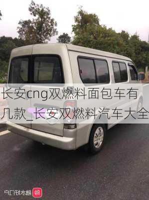 長安cng雙燃料面包車有幾款_長安雙燃料汽車大全