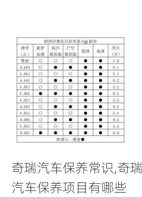 奇瑞汽車保養(yǎng)常識,奇瑞汽車保養(yǎng)項目有哪些