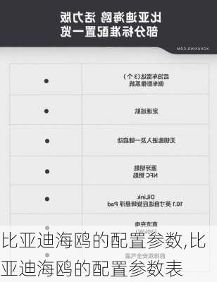 比亞迪海鷗的配置參數(shù),比亞迪海鷗的配置參數(shù)表