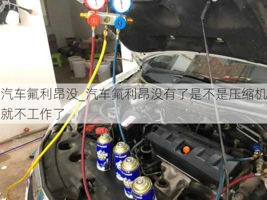 汽車(chē)氟利昂沒(méi)_汽車(chē)氟利昂沒(méi)有了是不是壓縮機(jī)就不工作了