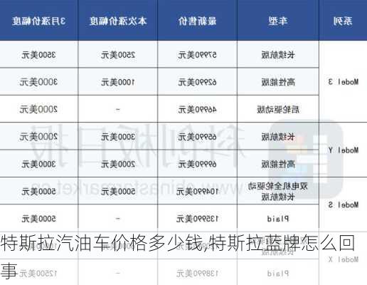 特斯拉汽油車價(jià)格多少錢,特斯拉藍(lán)牌怎么回事