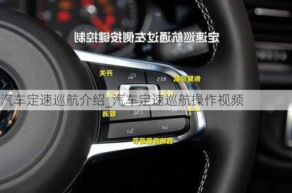 汽車定速巡航介紹_汽車定速巡航操作視頻