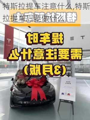 特斯拉提車注意什么,特斯拉提車后要做什么