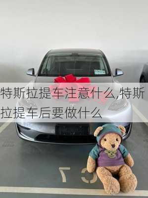 特斯拉提車注意什么,特斯拉提車后要做什么