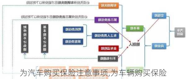 為汽車購買保險注意事項,為車輛購買保險