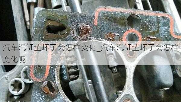 汽車汽缸墊壞了會怎樣變化_汽車汽缸墊壞了會怎樣變化呢