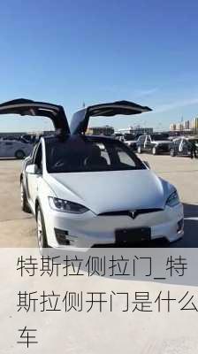 特斯拉側拉門_特斯拉側開門是什么車