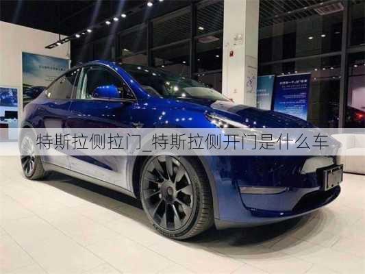 特斯拉側拉門_特斯拉側開門是什么車