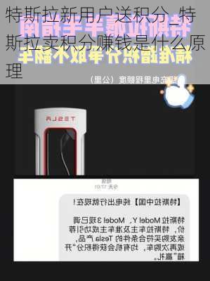 特斯拉新用戶送積分_特斯拉賣積分賺錢是什么原理