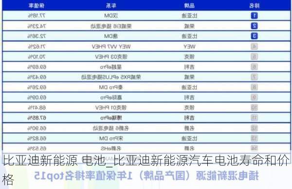 比亞迪新能源 電池_比亞迪新能源汽車電池壽命和價格