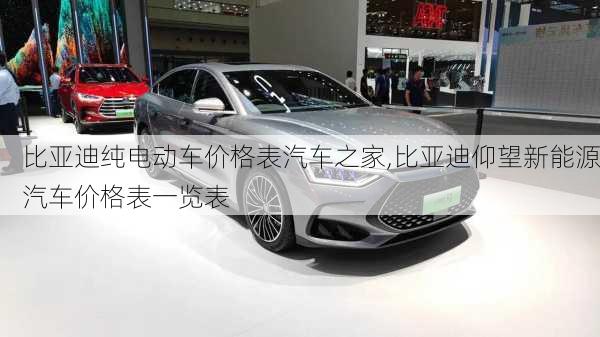 比亞迪純電動(dòng)車價(jià)格表汽車之家,比亞迪仰望新能源汽車價(jià)格表一覽表