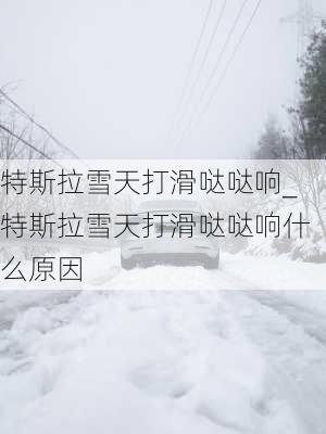 特斯拉雪天打滑噠噠響_特斯拉雪天打滑噠噠響什么原因