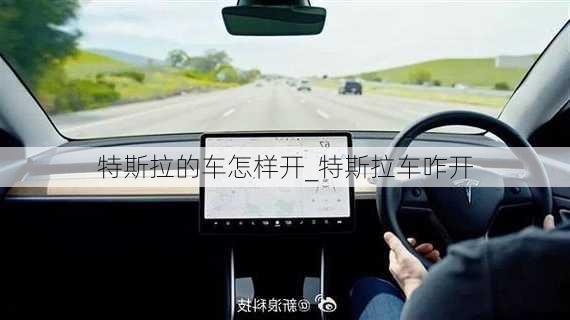 特斯拉的車怎樣開_特斯拉車咋開