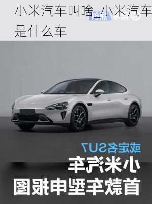 小米汽車叫啥_小米汽車是什么車