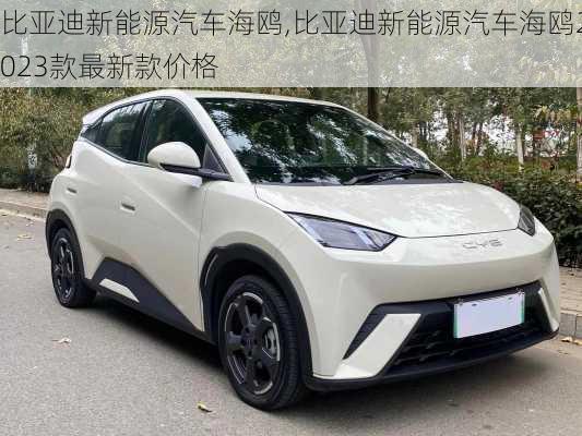 比亞迪新能源汽車海鷗,比亞迪新能源汽車海鷗2023款最新款價格