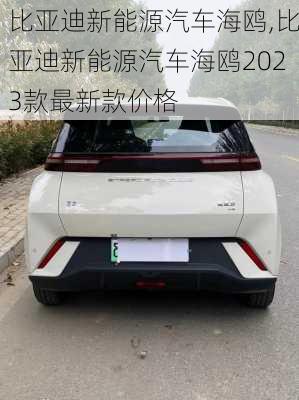 比亞迪新能源汽車海鷗,比亞迪新能源汽車海鷗2023款最新款價格