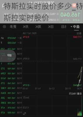 特斯拉實(shí)時股價多少_特斯拉實(shí)時股價