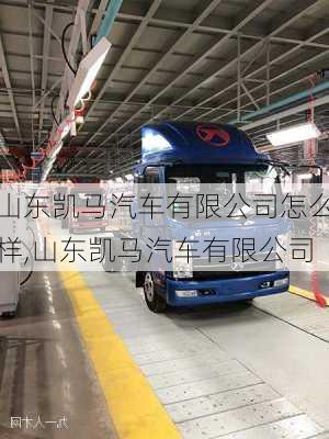 山東凱馬汽車有限公司怎么樣,山東凱馬汽車有限公司