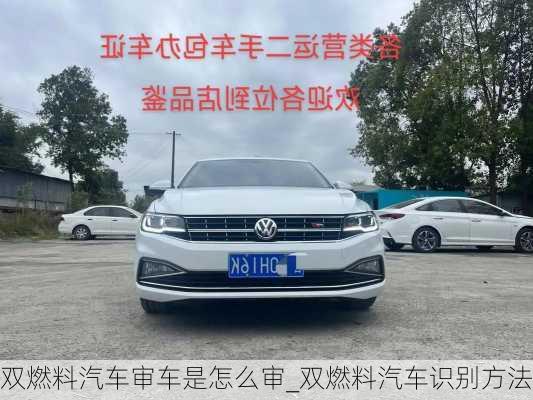 雙燃料汽車審車是怎么審_雙燃料汽車識(shí)別方法